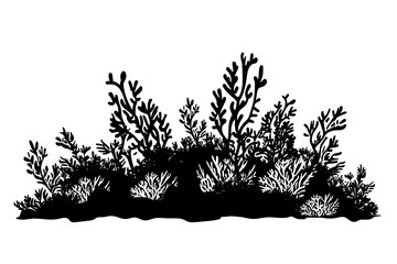 Wild Animal Detailed Black Silhouette Isolated on White Background High Resolution Clean Lines Printable Design for Logo Branding T Shirt Tattoo Stencil Clipart Icon and Wall Art