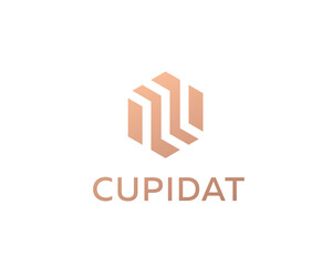 Abstract business premium logo design template. Hexagon real estate finance universal  logo icon.