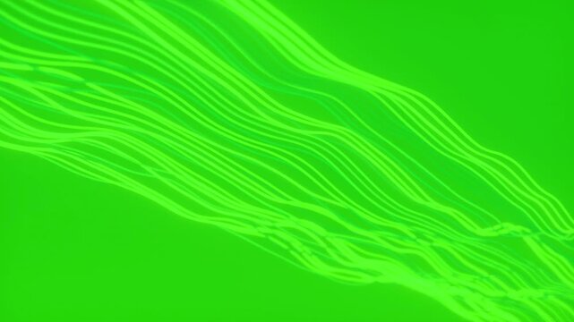 Abstract neon green wavy lines moving on lime background