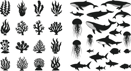 Fototapeta premium Black underwater sea life silhouette set with whale, shark, dolphin, jellyfish, fish, and various coral reef plants, isolated vector illustration for aquatic design projects.