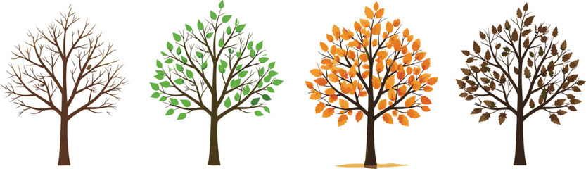 Obraz premium Four trees representing seasonal changes, winter bare branches, spring green foliage, autumn orange leaves, late autumn brown tones, nature cycle, seasonal landscape illustration