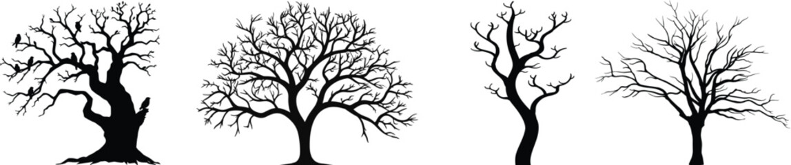 Fototapeta premium Tree of life, nature inspired art, wellness, spirituality, decor themes, intricate designs, silhouette, branches, leaves, patterns, black, white, roots, growth, organic, natural beauty, elegance,
