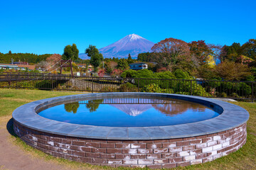 秋の静岡県富士宮市 白糸ノ滝芝生広場の水盤(すいばん)の富士山反射