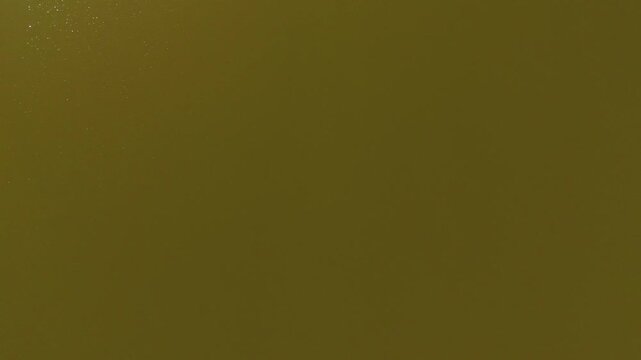 Top Down Traditional bamboo huts on Huay Tueng Thao Reservoir Chiang Mai Thailand