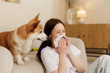 Woman sneezing into tissue while sitting near corgi dog on sofa indoors