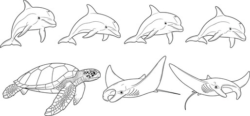Marine animals line art set, dolphin turtle manta ray illustration collection, ocean wildlife vector drawing, aquatic creature outline pack