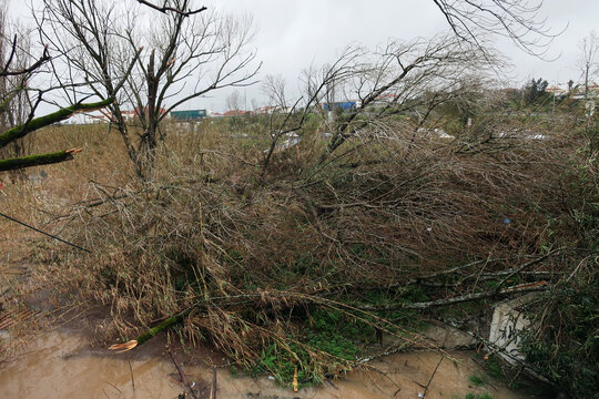 Leiria, Portugal. Destruction of the city after the passage of of Storm Kristin (Portuguese: Tempestade Kristin)  