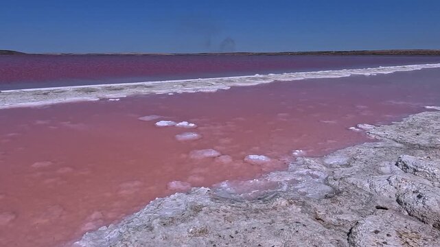 Kuyalnik Estuary, red coloration of the water caused by a bloom of the unicellular halophilic microalga Dunaliella salina