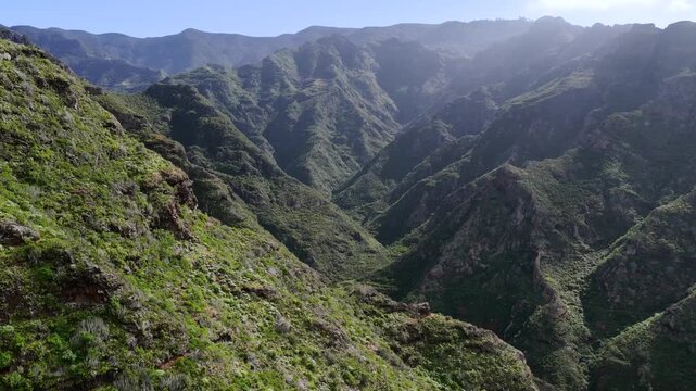Aerial tracking shot over the rugged Anaga Massif peaks and the prehistoric barrancos of Punta del Hidalgo