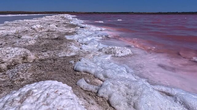 Kuyalnik Estuary, red coloration of the water caused by a bloom of the unicellular halophilic microalga Dunaliella salina