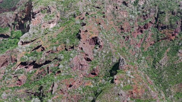 Aerial tracking shot over the rugged Anaga Massif peaks and the prehistoric barrancos of Punta del Hidalgo