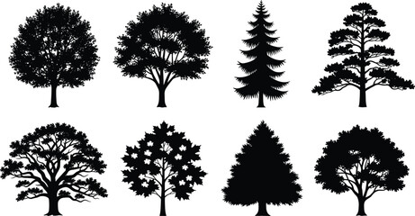 Obraz premium Tree silhouette vector illustration, diverse species with unique foliage and shapes - botanical and landscape design artwork
