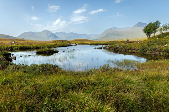 Mountain landscape with a lochan and heather on Rannoch Moor Scotland