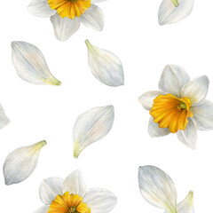 Fototapeta premium Seamless watercolor pattern with white narcissus flowers and scattered white petals. Perfect for fabric, wallpaper, wrapping paper, packaging and stationery design.