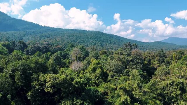 Traditional bamboo huts on Huay Tueng Thao Reservoir Chiang Mai Thailand