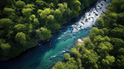 Experience the breathtaking beauty where emerald forests meet the powerful, clear waters of an untamed river.