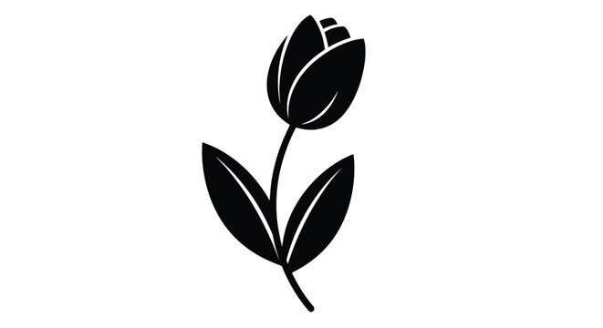 Black Silhouette of a Single Tulip Flower with Leaves.