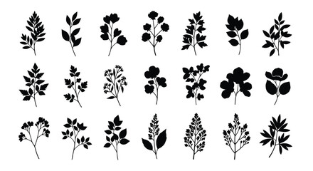 Collection of Black Botanical Silhouettes on White Background.