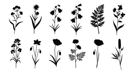 Collection of Black Silhouettes of Various Wildflowers and Plants.