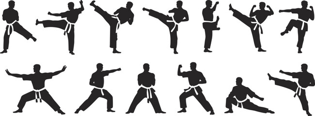 Large collection of black silhouettes featuring martial artists performing karate kicks punches and combat stances isolated on white background for sports and fitness design © Puspo