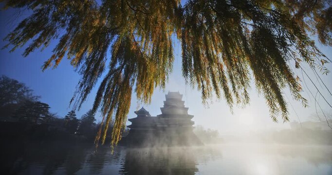 Cinematic reveal of 16th century Matsumoto castle on misty pond with hanging autumn weeping tree branches