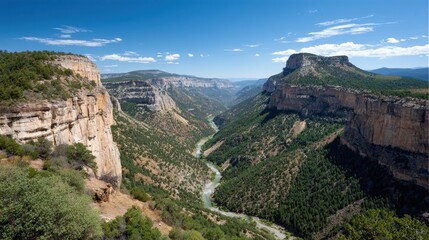 Obraz premium A breathtaking view of a canyon with steep cliffs, lush greenery, and a winding river under a clear blue sky.