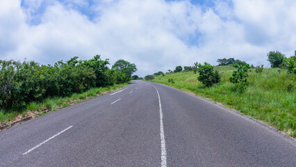 Rural countryside road single lane through dense green vegetation standing on asphalt a summer landscape. © ChrisVanLennepPhoto