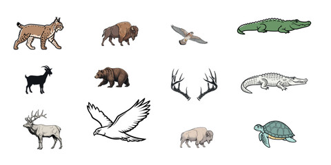 Fototapeta premium Collection of diverse wildlife illustrations
