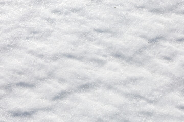 Obraz premium Pure white snow surface sparkles under bright winter sun, creating a soft texture with gentle shadows and icy crystals.