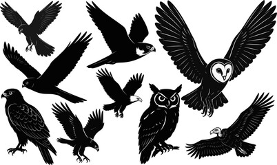Obraz premium Birds of prey raptor silhouette collection vector set