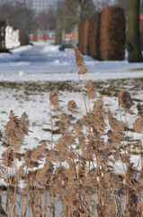 Winter in Hannover-Herrenhausen von au&szlig;erhalb der Gartenanlage fotografiert