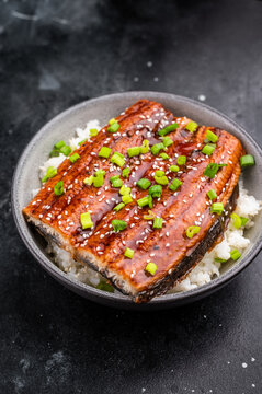 Unagi don, Unagidon Japanese grilled eel with rice in a bowl. black background. top view