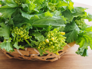 ざるに盛った菜の花