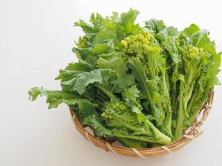 ざるに盛った菜の花