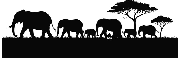 Elephant Family Silhouette Walking Across African Savanna with Acacia Trees at Sunset, Wildlife Migration Scene, Safari Landscape Vector Illustration on White Background © MdAbdur