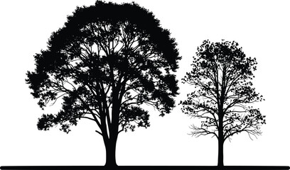 Black silhouette vector illustration of two deciduous leafy trees standing on a flat horizon line, nature landscape elements, environmental icons, © MDMASIUR