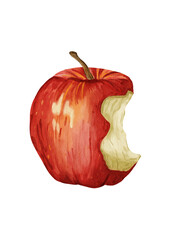 Watercolor bitten red apple isolated on white background, hand painted realistic food illustration