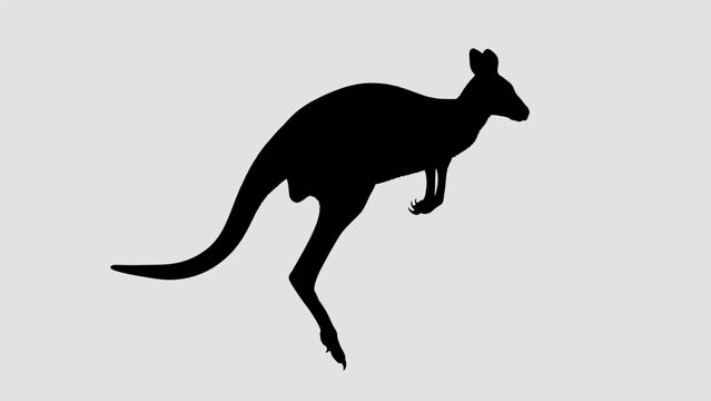 kangaroo silhouette vector illustration