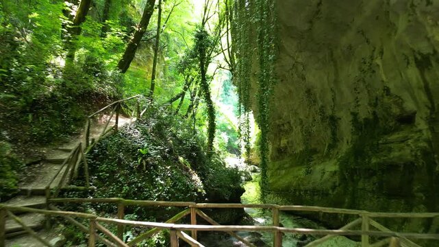 Flyng over wooden bridge backwards within green lush forest river surrounded by trees and rocks and ferns 4k drone