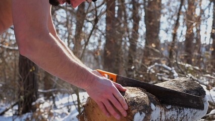 Male arm sawing a log in sunny winter forest. Strong guy working with a saw in snowy woodland. Concept of strength, masculine, energy, and harmony with nature during cold season. Slow motion