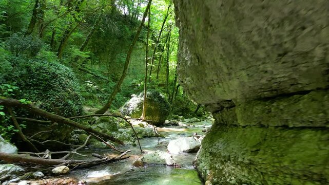 Following along green lush forest river surrounded by trees and rocks and ferns 4k drone