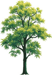 Tree with green leaves