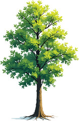 Tree with green leaves