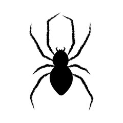 Black spider icon isolated on white background. Scary spider silhouette close up. Vector illustration.