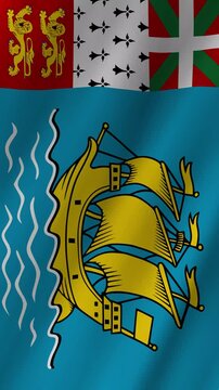 Vertical Saint Pierre and Miquelon Flag Animation, 4K Quality