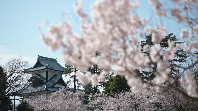 前ボケの桜越しに望む金沢城公園の春景色
AdobeStock-4K