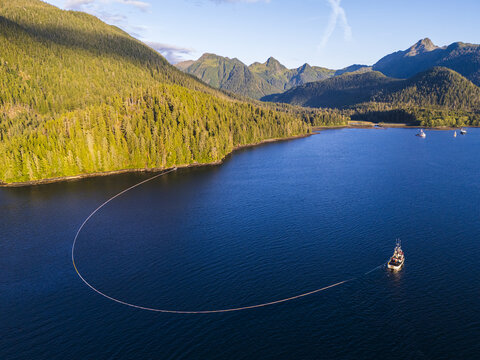 Aerial view of a commercial purse seine salmon fishing boat, with its net deployed, off the mountainous coast of Sitka, Alaska