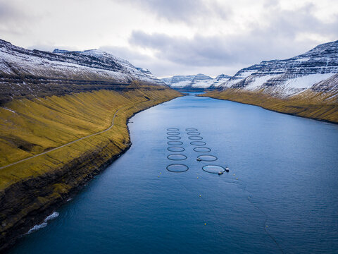 Aerial view of crisp, blue water reflecting the grey sky, bordered by snow-dusted, green-gold hillsides near the fish farm, Vidareidi, Northern Isles, Faroe Islands.