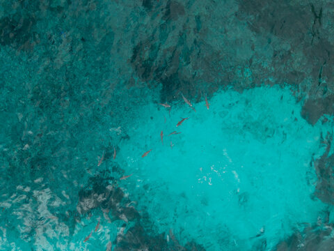 Aerial view of the turquoise waters revealing the underwater topography and a school of fish swimming in Felicite, Felicite, Seychelles.