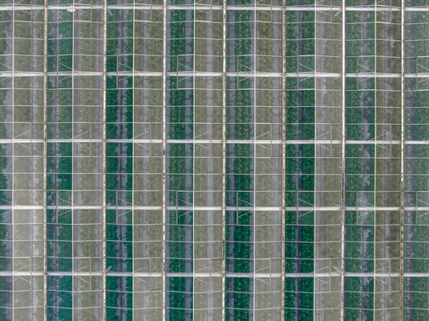 Aerial view of a patterned mosaic of glass panels creating geometric shapes over a greenhouse, Tredarzec, Bretagne, France.
